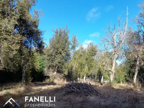 Terreno en Venta, FOS 15