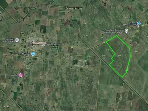 Ruta 61
