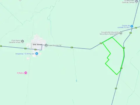 Ruta 61
