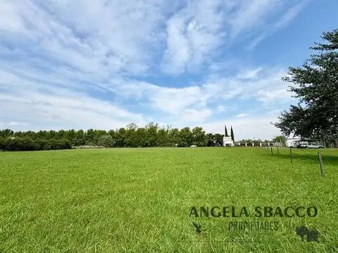 Terreno en Venta de 5950,0 m2