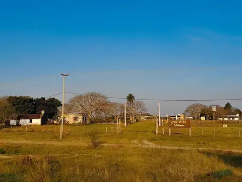 Interna
