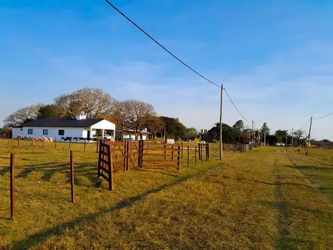 Terreno en Venta 45  mts Fondo
