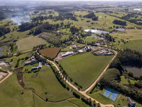 Terreno en Venta en Punta del Este, USD 1.250.000