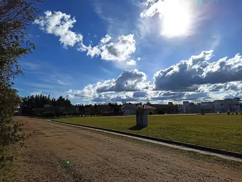 Terreno en Venta de 1250,0 m2