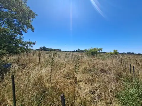 Venta de 2.6 Hectáreas en San Miguel del Monte