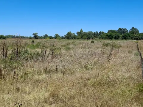 Venta de 2.6 Hectáreas en San Miguel del Monte