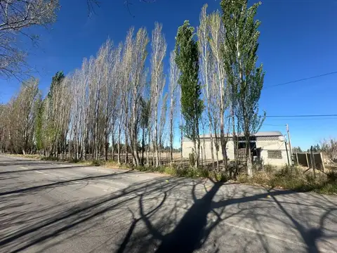 VENTA DE GALPON 400 m2 SOBRE CALLE SERPA