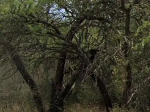 Terreno en Venta en Las Tapias, USD 250.000