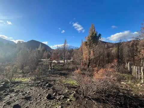 Chacra con Cabaña en Pje. La Rinconada Epuyén
