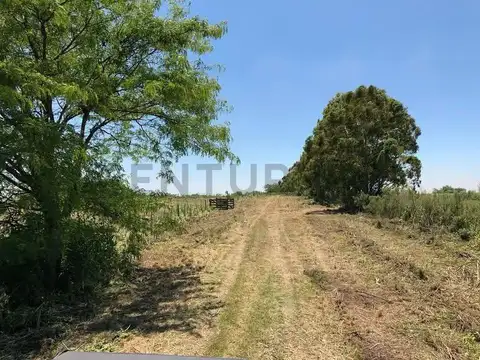 Lote de 4 Hectáreas con Gran Potencial de Desarrollo en VENTA