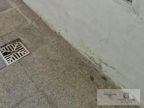 Avenida los Alamos  al 2000