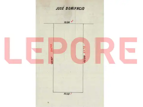 BONIFACIO 1900