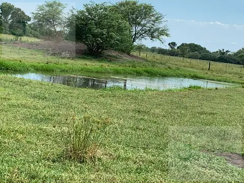 Campo en VENTA en Napenay, Chaco (A portón cerrado).