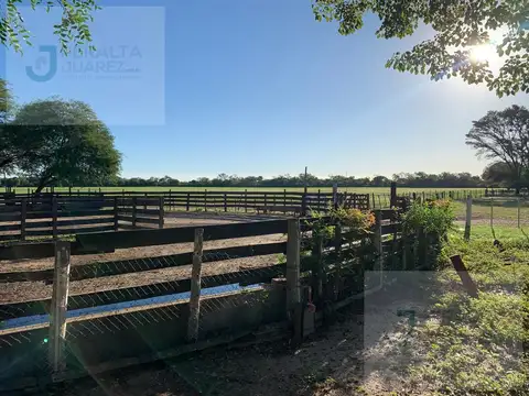 Campo en VENTA en Napenay, Chaco (A portón cerrado).