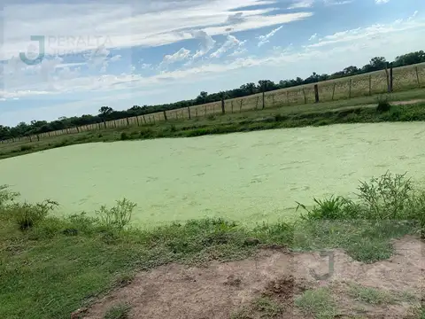 Campo en VENTA en Napenay, Chaco (A portón cerrado).
