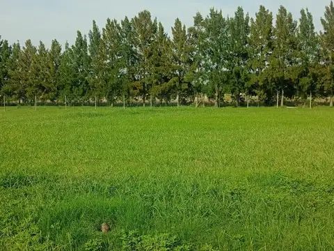 Terreno en Venta en Las Calandrias, USD 31.200