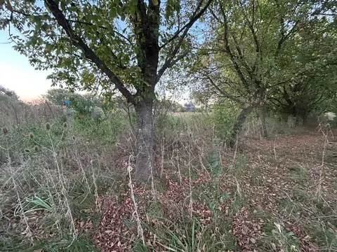 Terreno en Venta de 4000,0 m2