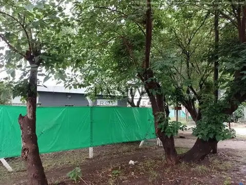 El Puesto Y Malacara