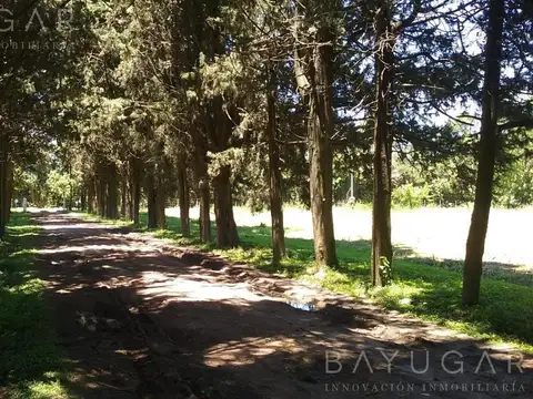 Terreno en Venta de 40000,0 m2