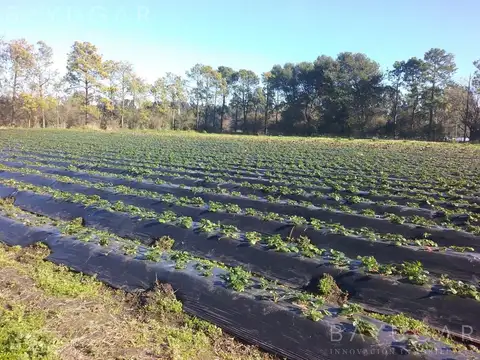 Terreno en Venta en Pilar, USD 500.000