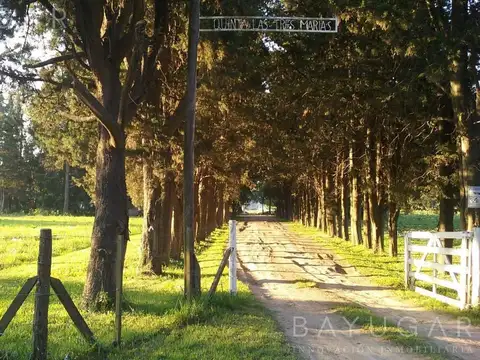 Venta Fracción en Pilar – Ideal Desarrollo - Apto Loteo