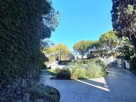 Olivé 954