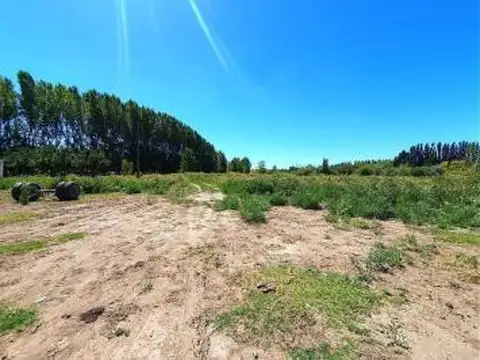 Chacra en Añelo