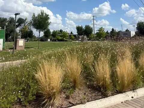 Terreno en Venta de 604,0 m2