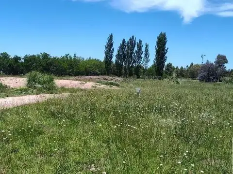 Benquerencia Farm Club