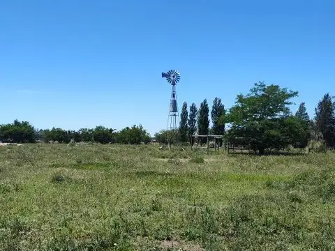 Terreno en venta - 31.833Mts2 - Estancia Benqueria, Monte