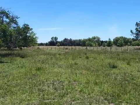 Benquerencia Farm Club