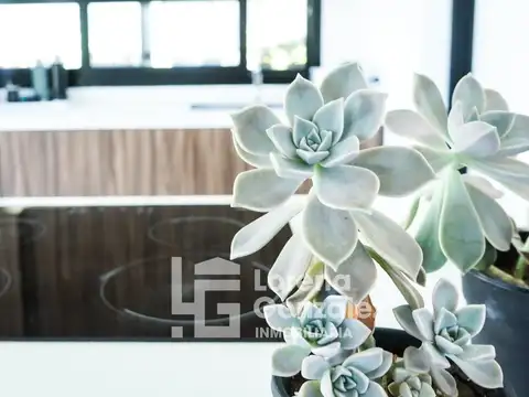 Casa en Alquiler 5 años