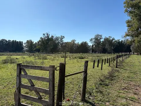 CAMPO EN ZARATE BUENOS AIRES