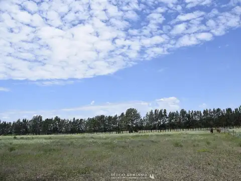 CAMPO EN ZARATE BUENOS AIRES 