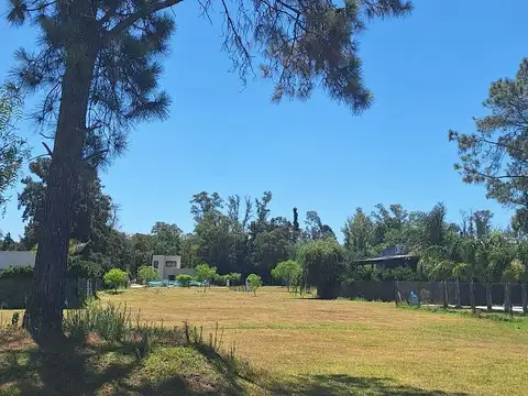 Terreno en Venta 20  mts Frente