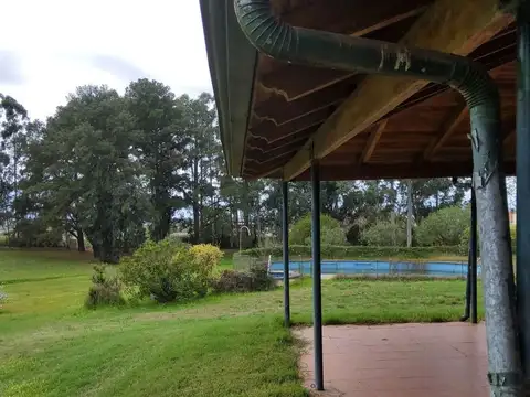 Quinta - Venta - Argentina, Concordia