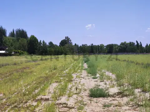 Lote en venta Colonia Las Rosas