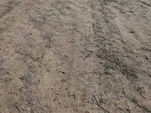 Terreno en Venta en Colonia las Rosas, USD 7.400