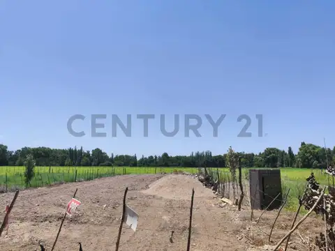Terreno en Venta en Colonia las Rosas, USD 7.400
