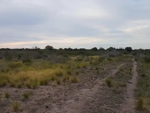 Campo mixto en venta zona Santa Rosa del Conlara, San Luis