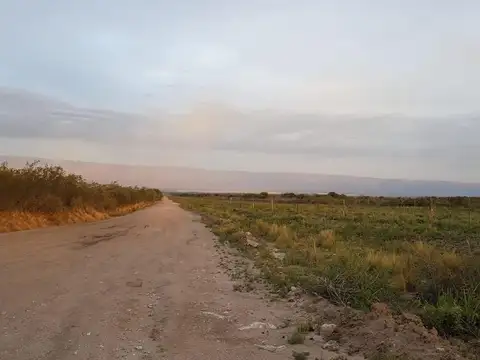 Campo mixto en venta zona Santa Rosa del Conlara, San Luis