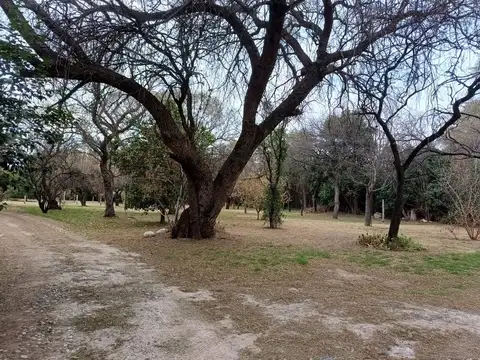 Ruta Provincial N°14