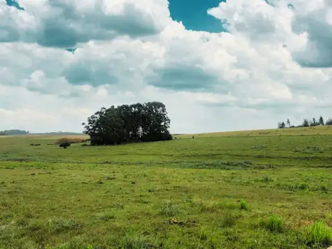 Chacra en Venta a 10 km de San Carlos por Ruta 9