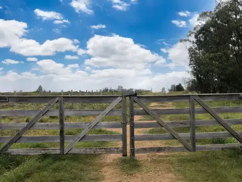 Chacra en Venta a 10 km de San Carlos por Ruta 9