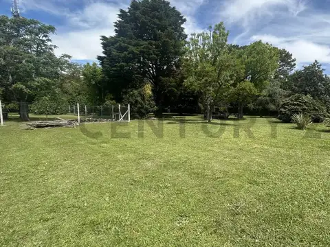 LOTES EN VENTA VILLA ELISA ENTRE CAMINOS