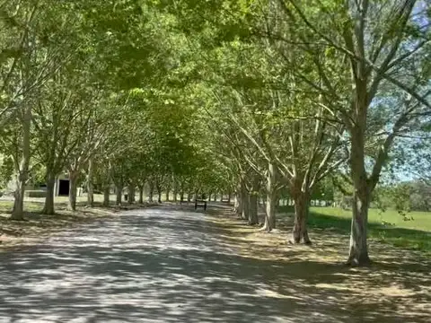 Av. Pereda S/N, Maximo Paz, 1812 Buenos 100