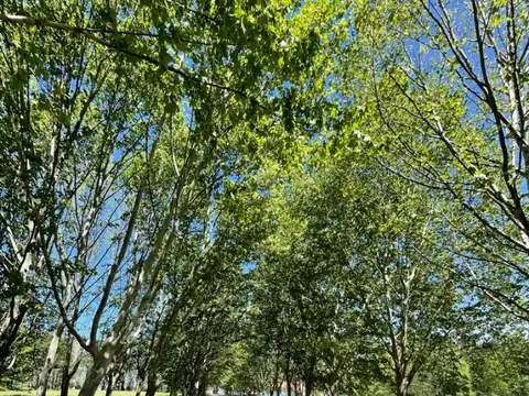 Terreno / Lote en venta de 2617m2 ubicado en Estancia Villa María