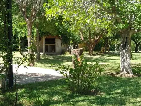 Videla Aranda 500