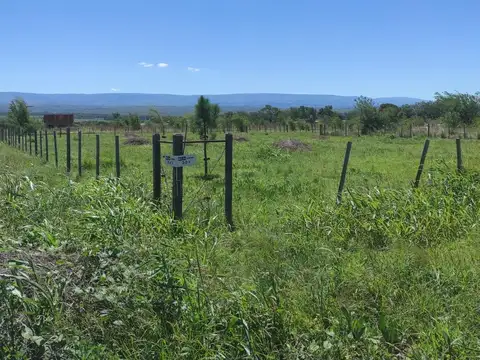 Lote 3  35x31,25  1.094 mts2, Villa Ciudad Parque en esquina