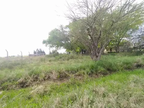 Camino Los Pinos
